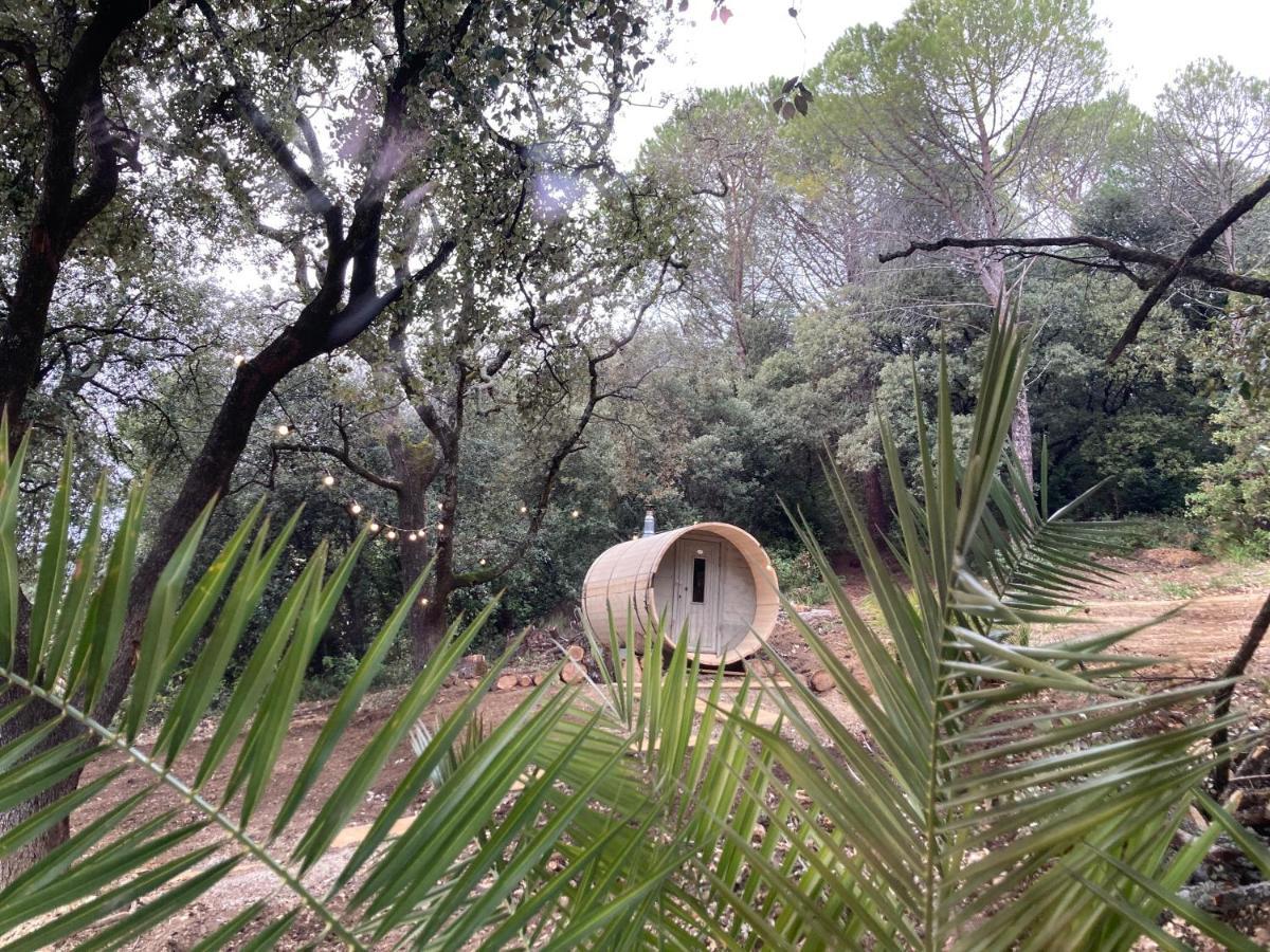 Les Horizons - Spa-Jacuzzi - Massage- Sauna - 4 Saisons - Piscine Chauffee Toute L'Annee - 800M Centre Ville นียงส์ ภายนอก รูปภาพ